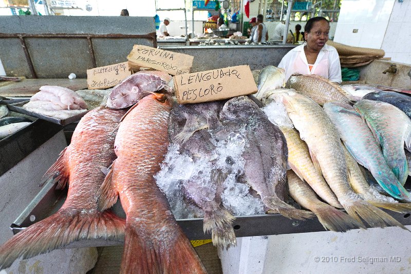 20101202_121853 D3S.jpg - Public Market, Panama City, Panama